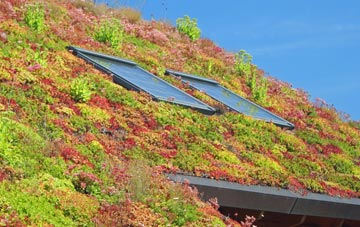 Beenham Stocks living roof systems